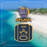 VIP TICKET - ALL WEEK